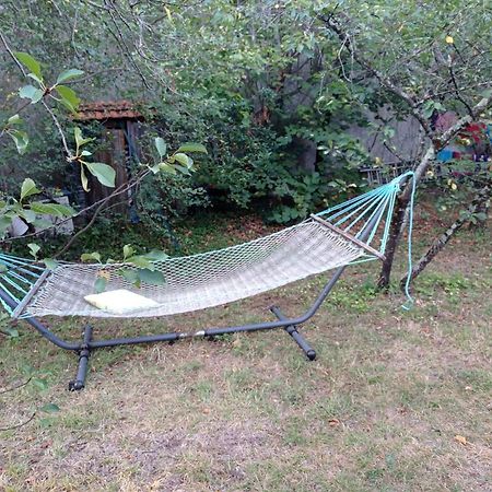 Appart Independant, 1 Lit Deux Personnes Et 1 Appoint Piscine Jardin Direct Gare Aeroport Et Jardin 툴루즈 외부 사진