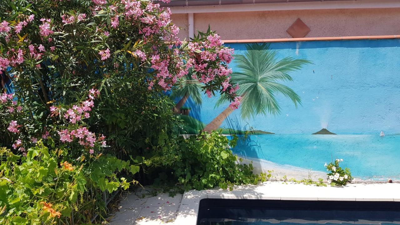 Appart Independant, 1 Lit Deux Personnes Et 1 Appoint Piscine Jardin Direct Gare Aeroport Et Jardin 툴루즈 외부 사진