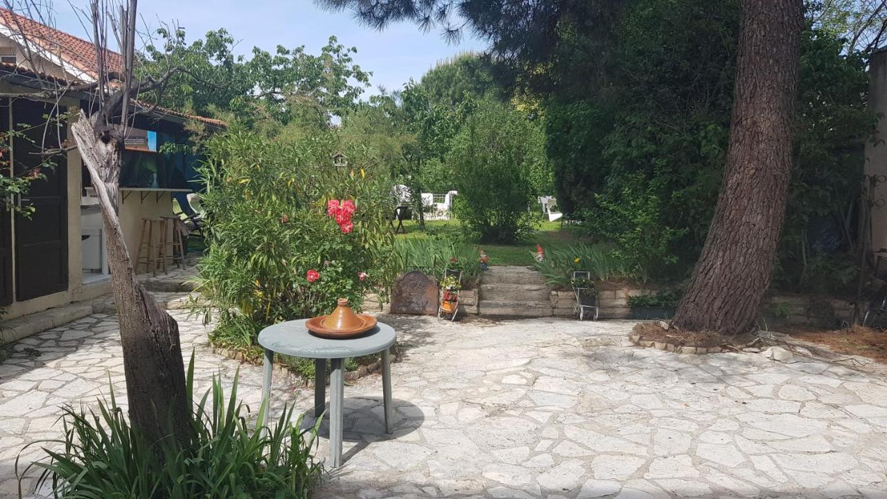 Appart Independant, 1 Lit Deux Personnes Et 1 Appoint Piscine Jardin Direct Gare Aeroport Et Jardin 툴루즈 외부 사진