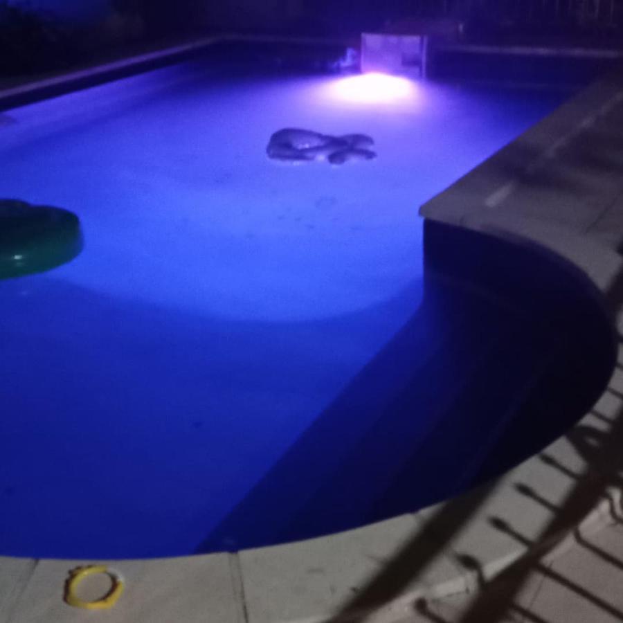 Appart Independant, 1 Lit Deux Personnes Et 1 Appoint Piscine Jardin Direct Gare Aeroport Et Jardin 툴루즈 외부 사진
